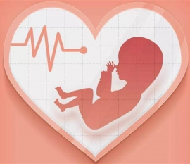 服用八珍丸的禁忌及适用人群是什么？