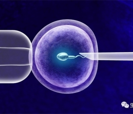 试管婴儿的具体流程，从国内准备到验孕回国的步骤