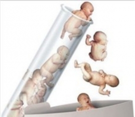 女性朋友囊胚移植可以避免宫外孕吗？